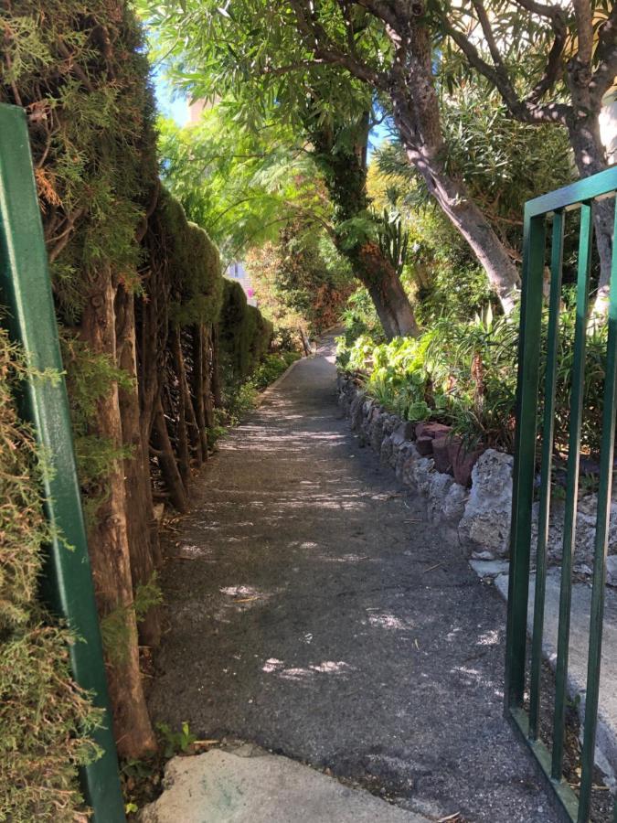 Charmante Chambre Privee 5/10 Mn Du Centreville/Port-Jardin/Parking Νίκαια Εξωτερικό φωτογραφία